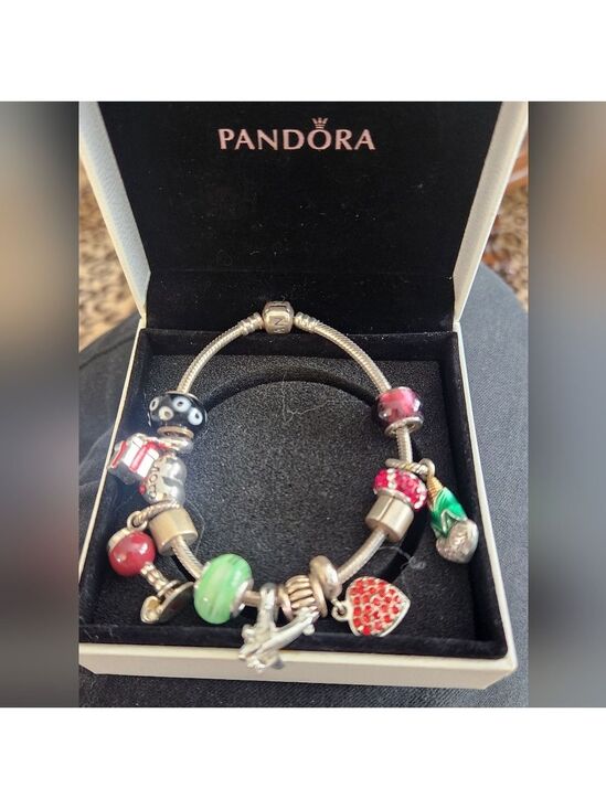 Pandora Jewelry - In Original Box Authentic Pandora Charm Bracelet 925 Silver with 11charms